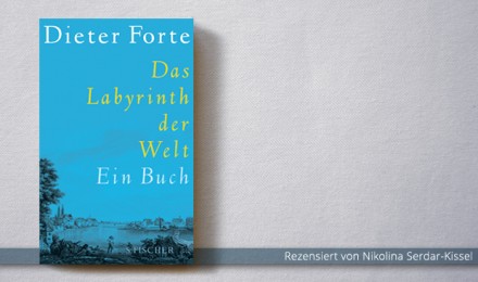 Dieter Forte: Das Labyrinth der Welt. Ein Buch
