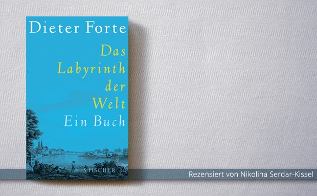 Dieter Forte: Das Labyrinth der Welt. Ein Buch